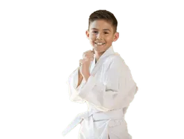 Home School Martial Arts